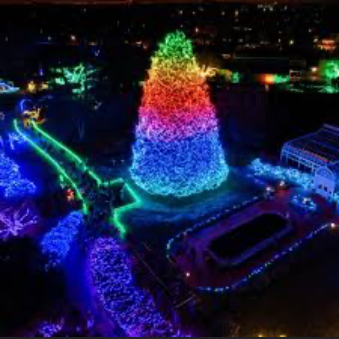 The Toledo Zoo's Lights Illuminate the Night